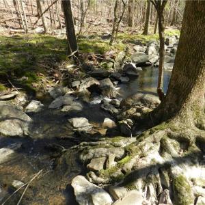 Photo #13 of Oakland, Asheboro, NC 24.0 acres