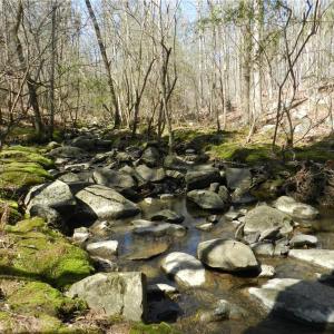 Photo #12 of Oakland, Asheboro, NC 24.0 acres