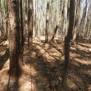 Photo #22 of Oakland, Asheboro, NC 24.0 acres