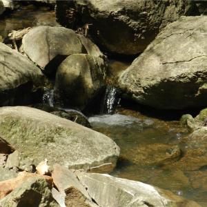 Photo #5 of Oakland, Asheboro, NC 24.0 acres