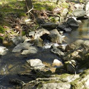Photo #20 of Oakland, Asheboro, NC 24.0 acres