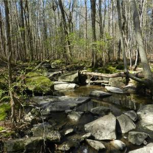 Photo #14 of Oakland, Asheboro, NC 24.0 acres