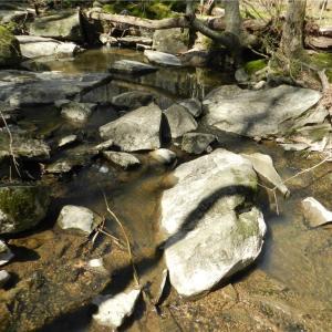 Photo #15 of Oakland, Asheboro, NC 24.0 acres
