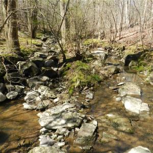 Photo #11 of Oakland, Asheboro, NC 24.0 acres