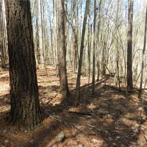 Photo #8 of Oakland, Asheboro, NC 24.0 acres