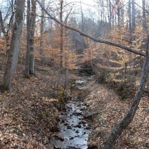 Photo #27 of Off of NC Highway 700, Pelham, NC 116.9 acres