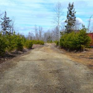 Photo #2 of Off of NC Highway 700, Pelham, NC 116.9 acres