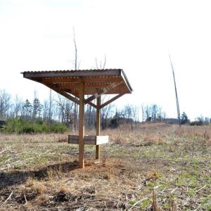 Photo #17 of Off of NC Highway 700, Pelham, NC 116.9 acres