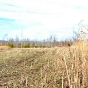 Photo #12 of Off of NC Highway 700, Pelham, NC 116.9 acres