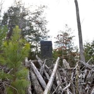 Photo #7 of Off of NC Highway 700, Pelham, NC 116.9 acres