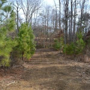 Photo #3 of Off of NC Highway 700, Pelham, NC 116.9 acres