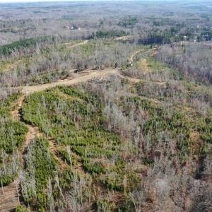 Photo #36 of Off of NC Highway 700, Pelham, NC 116.9 acres