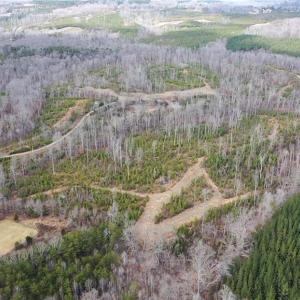 Photo #32 of Off of NC Highway 700, Pelham, NC 116.9 acres