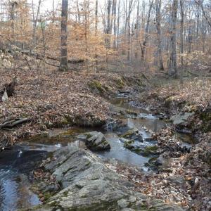 Photo #1 of Off of NC Highway 700, Pelham, NC 116.9 acres