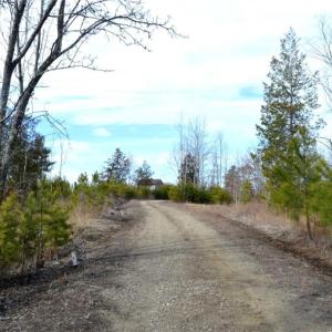Photo #9 of Off of NC Highway 700, Pelham, NC 116.9 acres