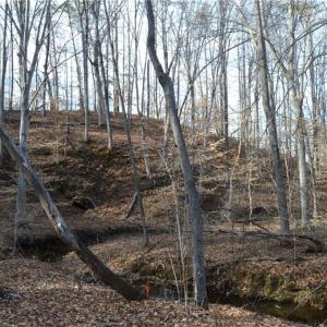 Photo #24 of Off of NC Highway 700, Pelham, NC 116.9 acres