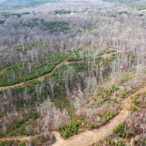 Photo #30 of Off of NC Highway 700, Pelham, NC 116.9 acres