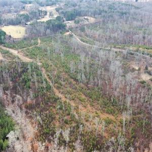 Photo #34 of Off of NC Highway 700, Pelham, NC 116.9 acres