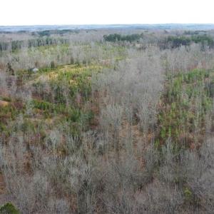 Photo #33 of Off of NC Highway 700, Pelham, NC 116.9 acres