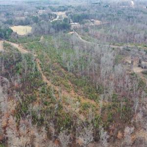 Photo #35 of Off of NC Highway 700, Pelham, NC 116.9 acres