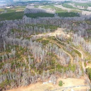Photo #31 of Off of NC Highway 700, Pelham, NC 116.9 acres