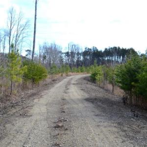 Photo #29 of Off of NC Highway 700, Pelham, NC 116.9 acres