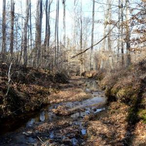 Photo #21 of Off of NC Highway 700, Pelham, NC 116.9 acres