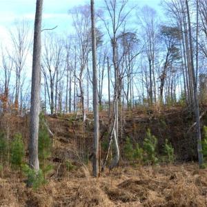 Photo #25 of Off of NC Highway 700, Pelham, NC 116.9 acres