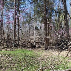 Photo #27 of Jones, Reidsville, NC 60.5 acres