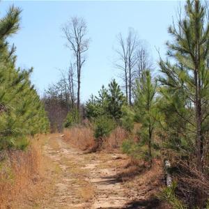 Photo #2 of Jones, Reidsville, NC 60.5 acres