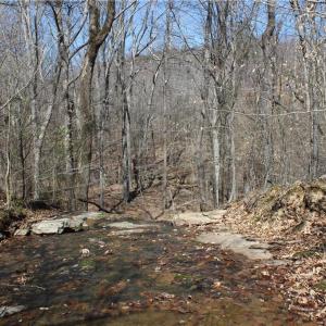 Photo #17 of Jones, Reidsville, NC 60.5 acres