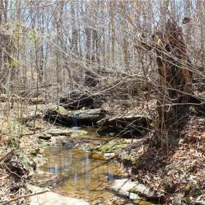 Photo #16 of Jones, Reidsville, NC 60.5 acres