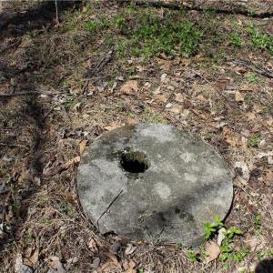 Photo #26 of Jones, Reidsville, NC 60.5 acres