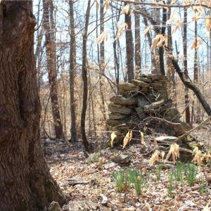 Photo #7 of Jones, Reidsville, NC 60.5 acres