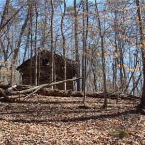 Photo #20 of Jones, Reidsville, NC 60.5 acres
