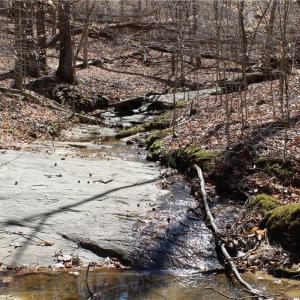 Photo #9 of Jones, Reidsville, NC 60.5 acres