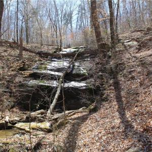 Photo #18 of Jones, Reidsville, NC 60.5 acres