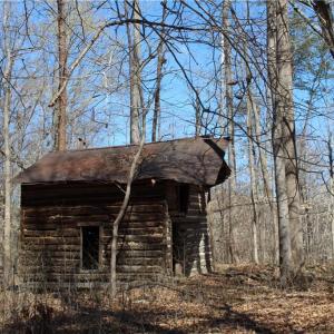 Photo #4 of Jones, Reidsville, NC 60.5 acres