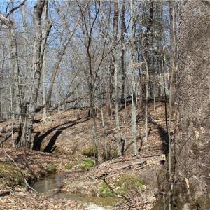 Photo #8 of Jones, Reidsville, NC 60.5 acres