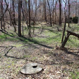 Photo #25 of Jones, Reidsville, NC 60.5 acres