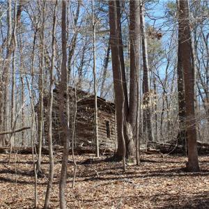 Photo #21 of Jones, Reidsville, NC 60.5 acres