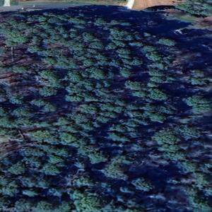 Photo #9 of 144 Heron Bay, New London, NC 0.7 acres