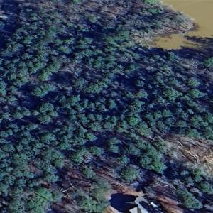 Photo #10 of 144 Heron Bay, New London, NC 0.7 acres