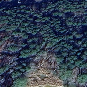 Photo #11 of 144 Heron Bay, New London, NC 0.7 acres