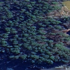 Photo #8 of 144 Heron Bay, New London, NC 0.7 acres