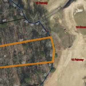 Lot lines are accurate but not guaranteed.