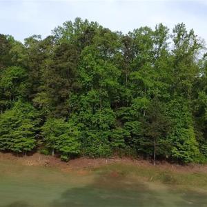 View from the 10th Green facing the back of the lot.