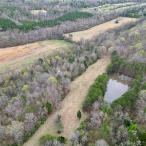 Photo #48 of 44 +/- AC Island, Madison, NC 44.0 acres