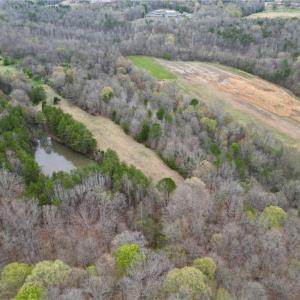 Photo #44 of 44 +/- AC Island, Madison, NC 44.0 acres