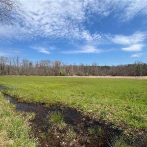 Photo #29 of 44 +/- AC Island, Madison, NC 44.0 acres
